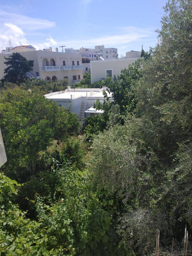 Enalion-Tinos Bed & Breakfast Bagian luar foto