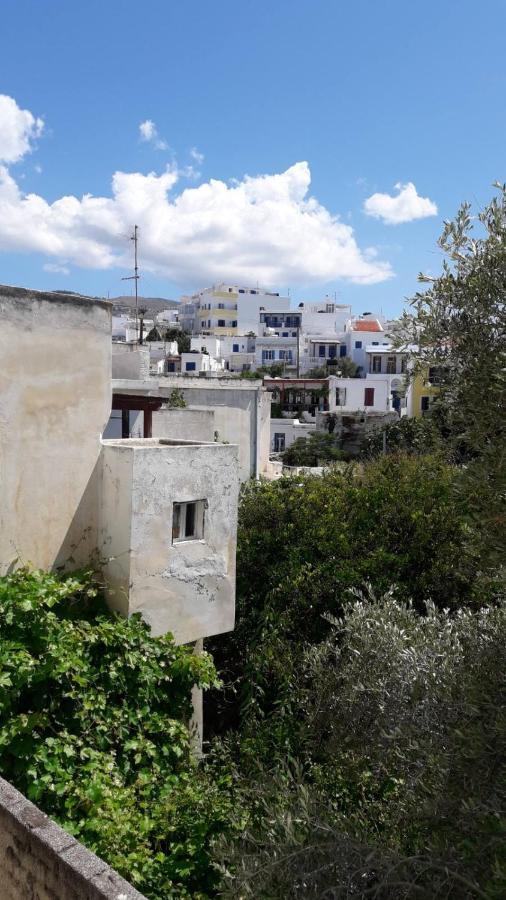 Enalion-Tinos Bed & Breakfast Bagian luar foto
