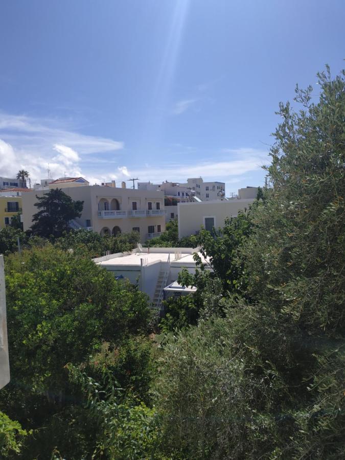 Enalion-Tinos Bed & Breakfast Bagian luar foto