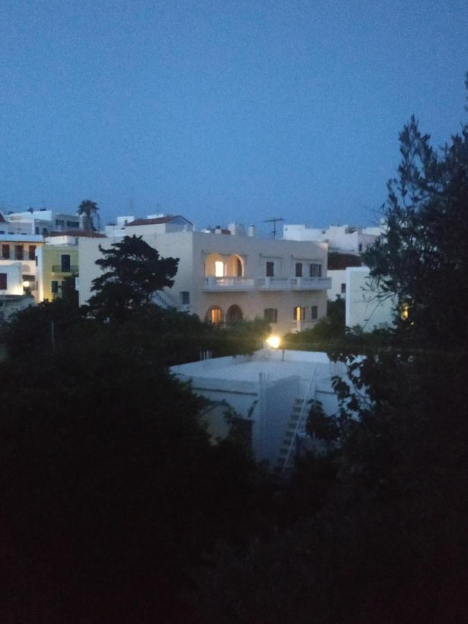 Enalion-Tinos Bed & Breakfast Bagian luar foto